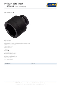 1100s-55_datasheet_en.pdf