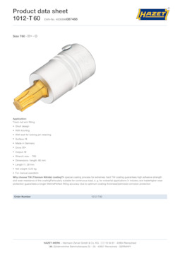 1012-t60_datasheet_en.pdf