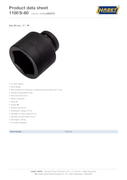 1100s-60_datasheet_en.pdf