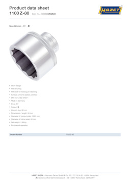 1100z-80_datasheet_en.pdf